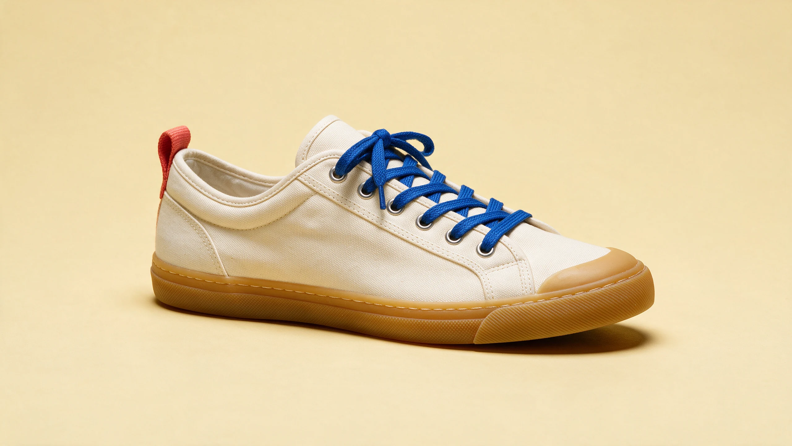 Seedream 5 Pro edit of the shared cream canvas sneaker